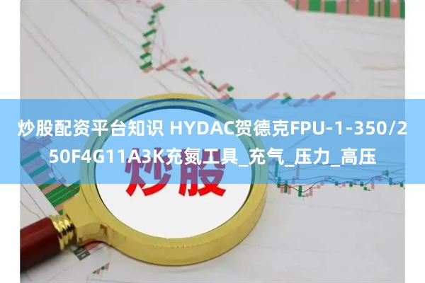 炒股配资平台知识 HYDAC贺德克FPU-1-350/250F4G11A3K充氮工具_充气_压力_高压