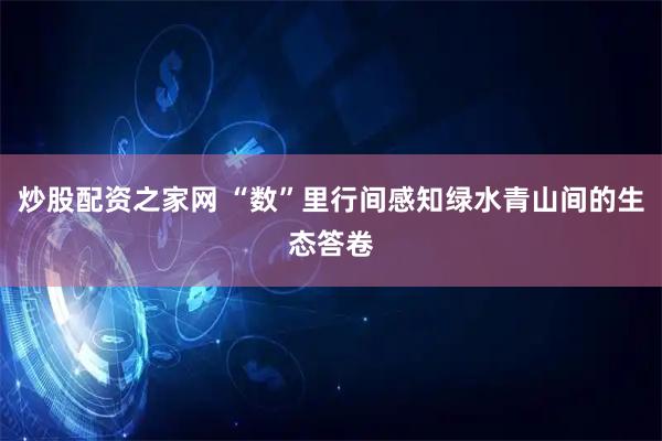 炒股配资之家网 “数”里行间感知绿水青山间的生态答卷