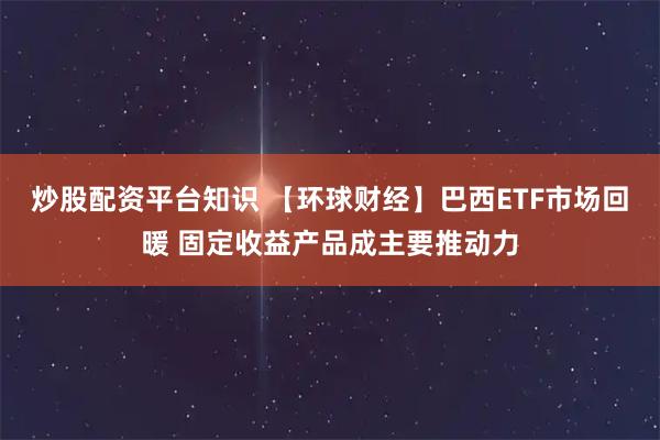 炒股配资平台知识 【环球财经】巴西ETF市场回暖 固定收益产品成主要推动力
