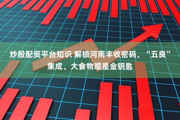 炒股配资平台知识 解锁河南丰收密码，“五良”集成、大食物观是金钥匙
