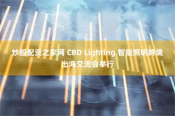 炒股配资之家网 CBD Lighting 智能照明跨境出海交流会举行